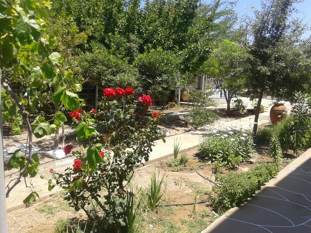 דירות Platis Gialos  Aegean Harmony מראה חיצוני תמונה