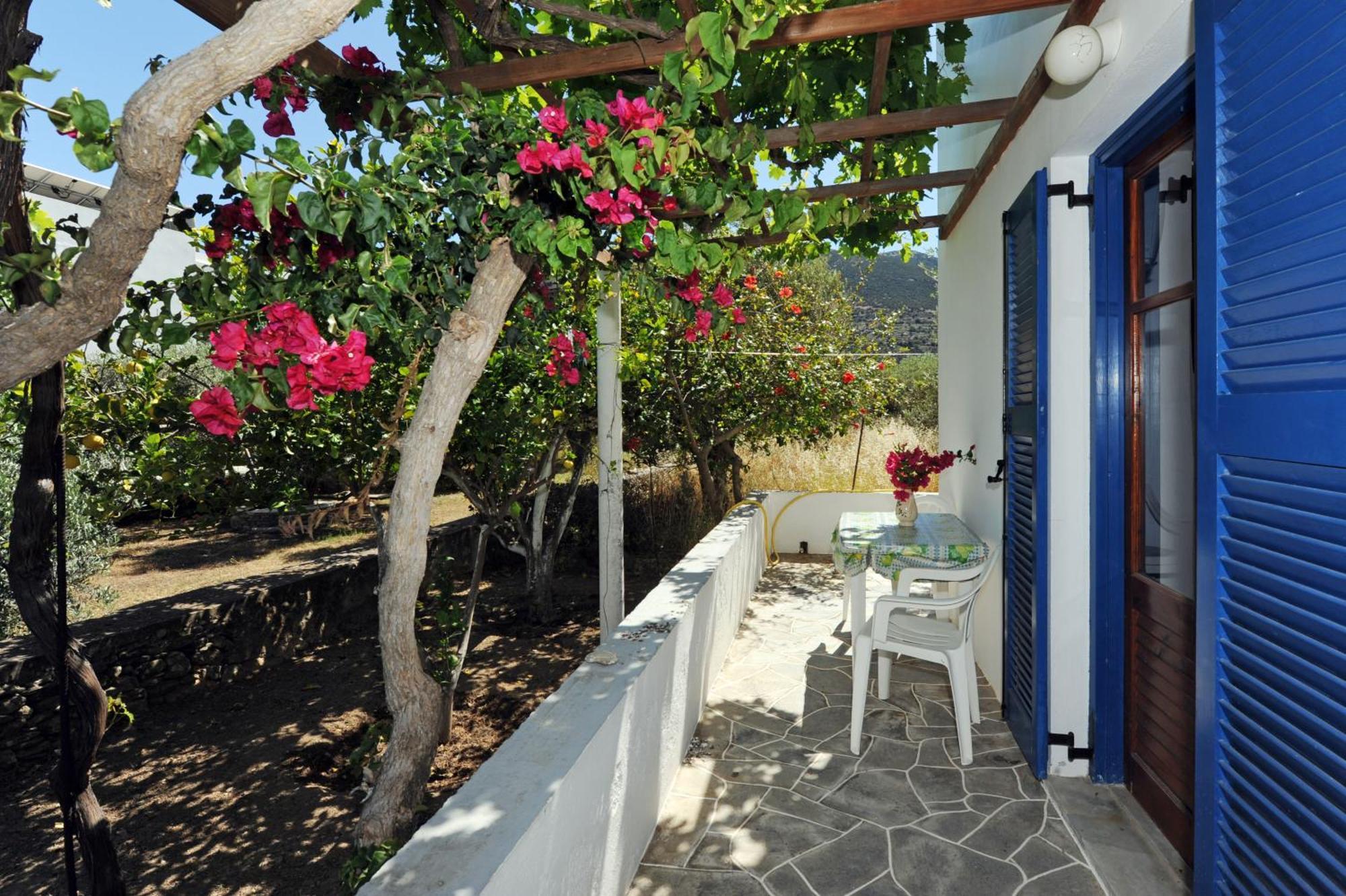 דירות Platis Gialos  Aegean Harmony מראה חיצוני תמונה